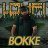 About Bokke Song