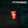 About I'm Not Crazy Song