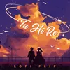 About Tu Hi Re Lofi Flip Song