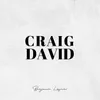 Craig David