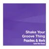 About Shake Your Groove Thing Safari Riot Remix Song