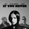 About If You Never Song