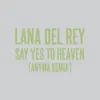 About Say Yes To Heaven Anyma Remix Song