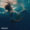 About Dreams Song