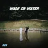 About WALK ON WATER Song