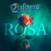 About Rosa En Vivo/Cumbia Song