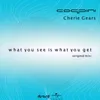 What You See Is What You Get Original Mix
