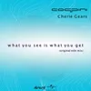 What You See Is What You Get Original Edit Mix