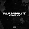 About Mammut RMX 2.0 Song