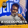 About A Voz Do Poeta Song