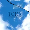 About Torn (Perfect Sky) Song