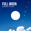 About Full Moon Song