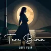 About tere bina Lofi Flip Song