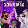 About Cachimbo Da Paz Ao Vivo Song