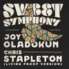 About Sweet Symphony Living Proof Version Song