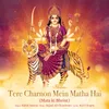About Tere Charnon Mein Matha Hai Mata Ki Bheint Song