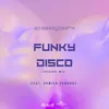 About Funky Disco Original Mix Song