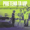 About Prietena ta VIP Song