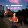 About Wildhorse Song