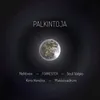 About Palkintoja Song
