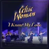 I Know My Love 20th Anniversary