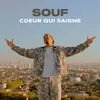 About Coeur qui saigne Song