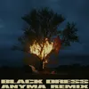 Black Dress Anyma Remix