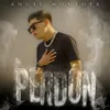 About Perdón Song