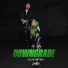 About Downgrade Song
