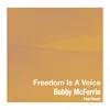 About Freedom Is A Voice Pixal Remix Song