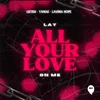About Lay All Your Love On Me Song