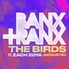 About The Birds Acoustic Song