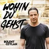 About Wohin du gehst Song