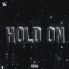 About Hold on Song