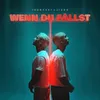 About Wenn du fällst Song