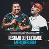 About Resumo De Felicidade / Meu Querubim Ao Vivo Song