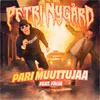 About Pari Muuttujaa Song