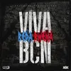 About Viva BCN Song