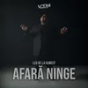 About Afară ninge Song