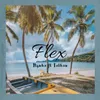 About Flex Song