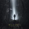 About Wild Ones Song