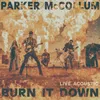 Burn It Down Radio Edit