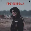 About PIND DI HAWA Song