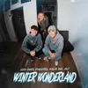 About Winter Wonderland Song