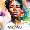 About Andinaye Song