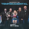 About Temperamental Ao Vivo Song