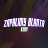 About Zapalimy blanta Song