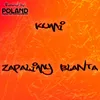 About Zapalimy blanta Remix Song