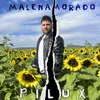 About Malenamorado Song