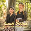 IWAK PELAS Versi Koplo Jawa